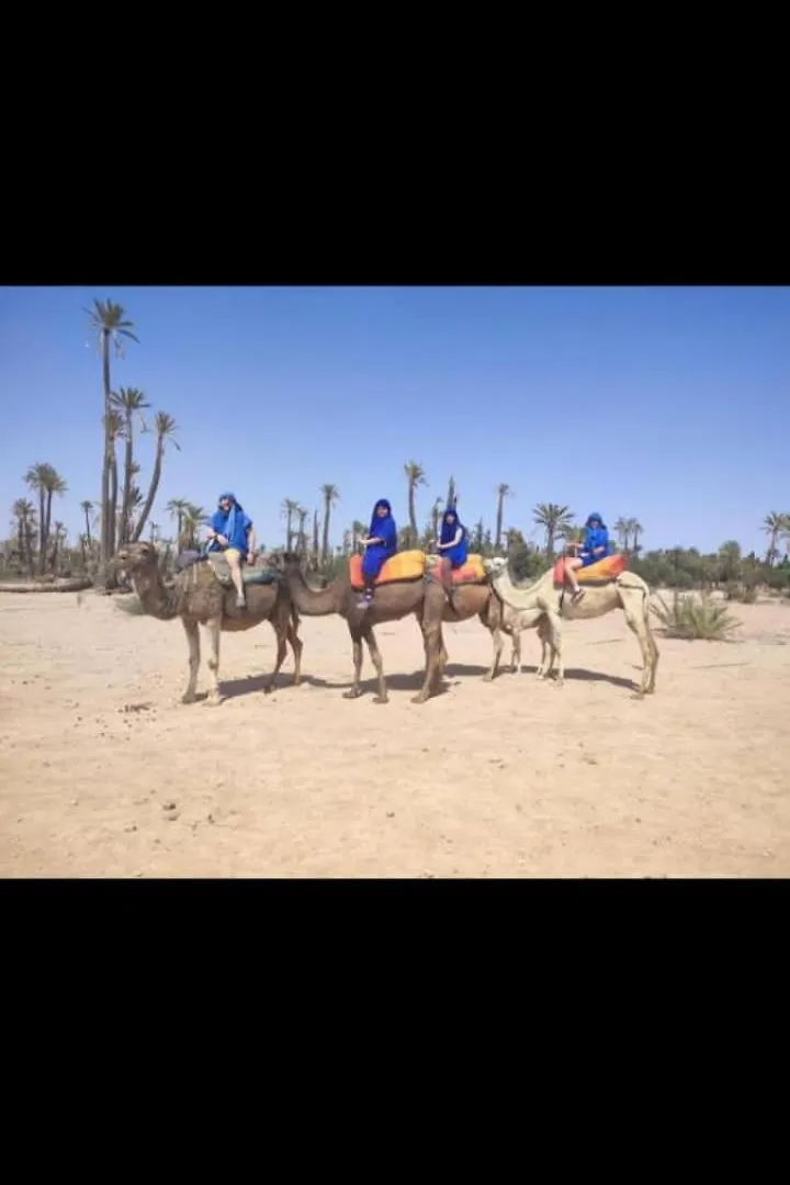 Hotel Riad Hanafi Marrakesh